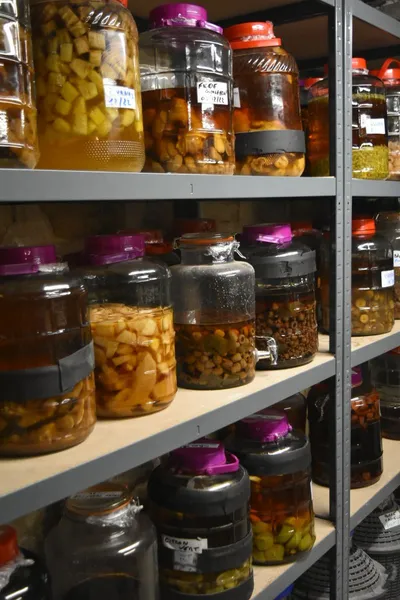 Rangee de bocaux de rhum arrangé sur étagère